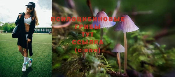 стафф Белоозёрский