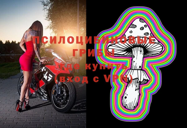 герыч Бронницы