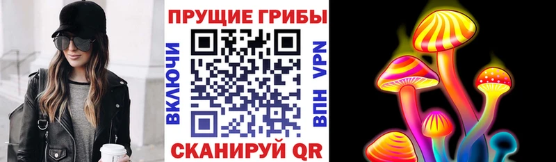 Галлюциногенные грибы ЛСД  Карасук 